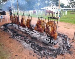 Algar-Farming---FarmingShow-2023---Show-Emilio-e-Eduardo--(1)